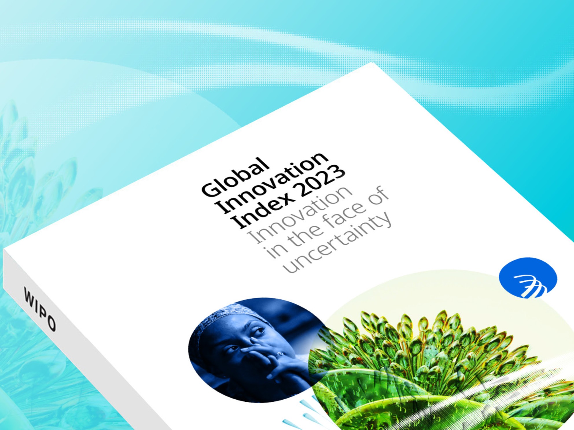 Global Innovation Index 2023 rapport