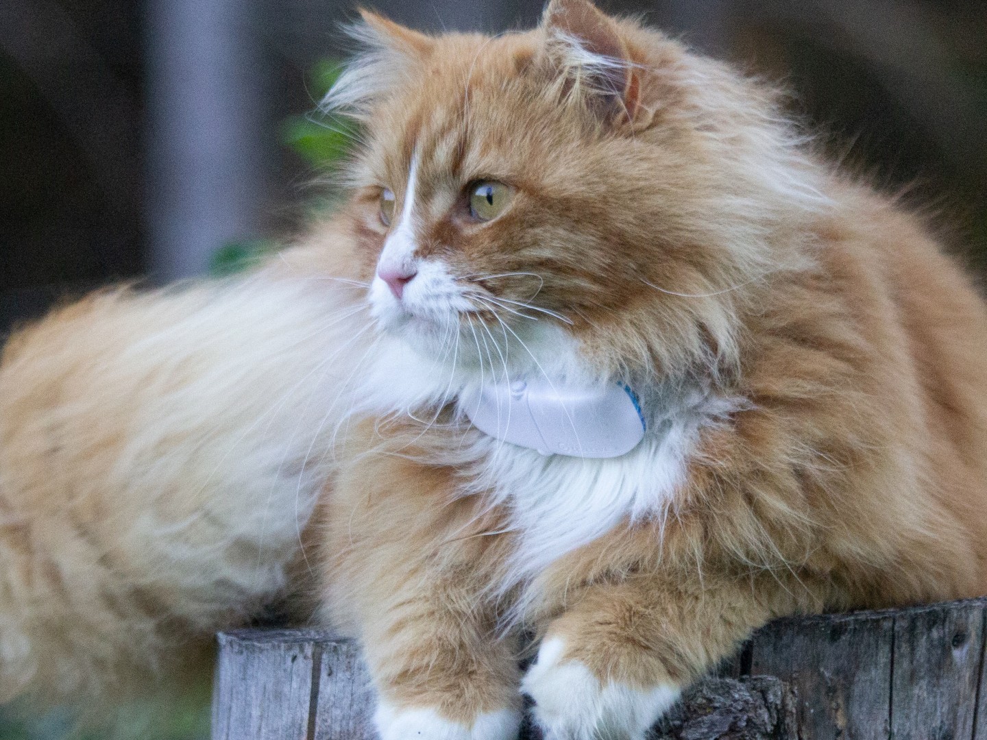 Nytt_toppbilde_Jesper_beskjært